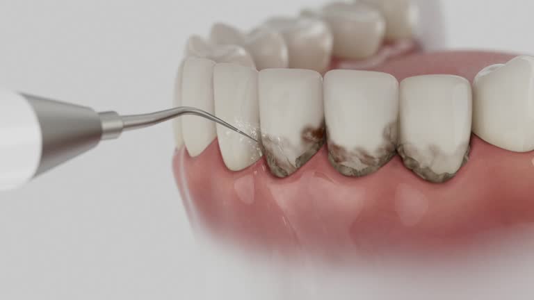 Reliable Dental contractor in Linden, MI by Dentist Open Now